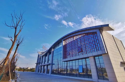 好消息 明天,益陽這個新的客運總站正式啟用