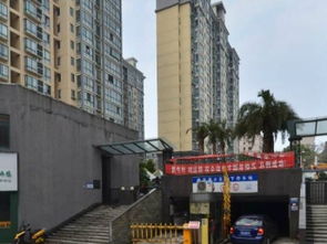 桃花里精裝房，拎包即住！益陽租房優(yōu)選，盡在益陽列表網(wǎng)