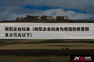 微型企業(yè)標(biāo)準(zhǔn)(微型企業(yè)標(biāo)準(zhǔn)為增值稅銷售額多少萬元以下)