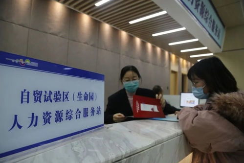 助力 兩區(qū) 建設(shè) 昌平成立自貿(mào)區(qū)人力資源綜合服務(wù)站